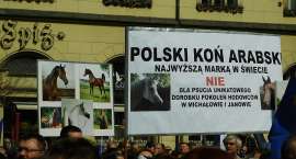 zdjęcie nr 53