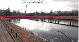 Fotka nr 0 z 2