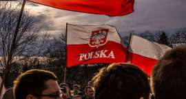Fotka nr 3 z 8