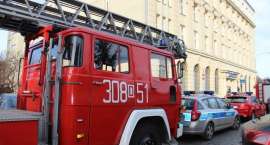 Fotka nr 5 z 8