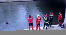Fotka nr 1 z 4