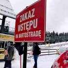 zdjęcie nr 11