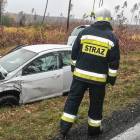 Fotka nr 2 z 4