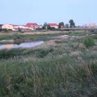 zdjęcie nr 44