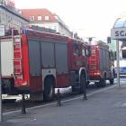 Fotka nr 2 z 5