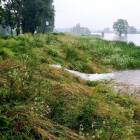 zdjęcie nr 43