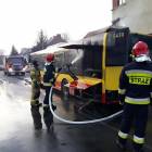 Fotka nr 3 z 11