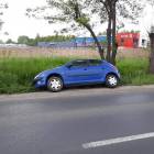 Fotka nr 3 z 5