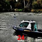 Fotka nr 4 z 19