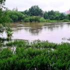 zdjęcie nr 18