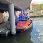 Fotka nr 1 z 3