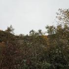 Fotka nr 1 z 11