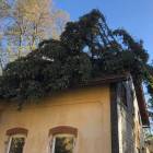 zdjęcie nr 11