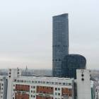 zdjęcie nr 8