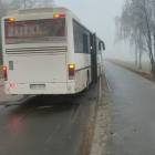Fotka nr 5 z 15