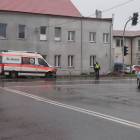 Fotka nr 1 z 11