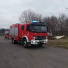Fotka nr 3 z 11