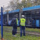 zdjęcie nr 14
