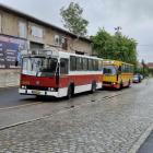 Fotka nr 5 z 6