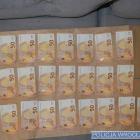 zdjęcie nr 45