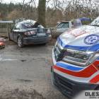 Fotka nr 1 z 3