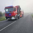 Fotka nr 4 z 7