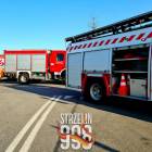 Fotka nr 5 z 18