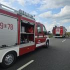 Fotka nr 5 z 6