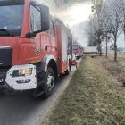Fotka nr 2 z 4