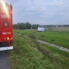 Fotka nr 2 z 11