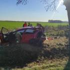 zdjęcie nr 13