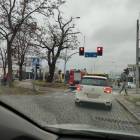 zdjęcie nr 7