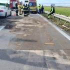 zdjęcie nr 14