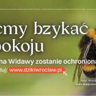 Fotka nr 0 z 30