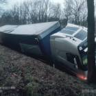 Fotka nr 1 z 8