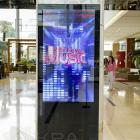 Fotka nr 5 z 33