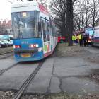 zdjęcie nr 10