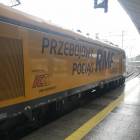 zdjęcie nr 7