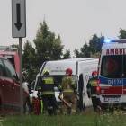 zdjęcie nr 15