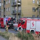 Fotka nr 1 z 83