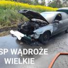 Fotka nr 0 z 7