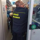 zdjęcie nr 8