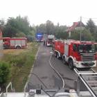 Fotka nr 1 z 4