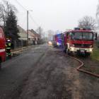 Fotka nr 2 z 5