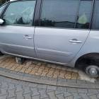 zdjęcie nr 8