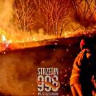 Strzelin ul. Szybalskiego - fot. Strzelin998
