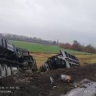 Fotka nr 1 z 15