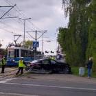 Fotka nr 2 z 3