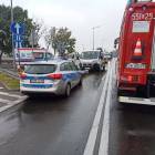 Fotka nr 5 z 6