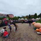 zdjęcie nr 12